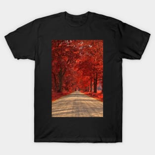 Wye Island Ruby Road T-Shirt